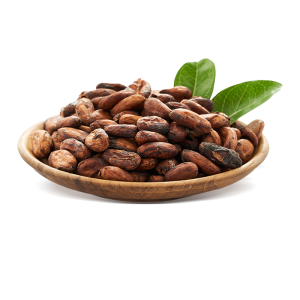 Cacao