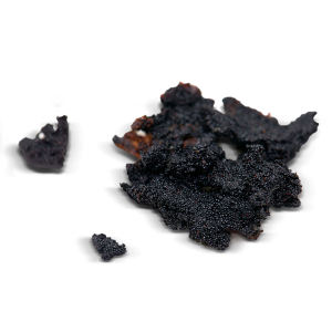 Caviar de Vanille
